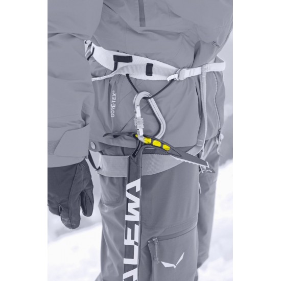 Piolet Salewa Alpine-X Ice