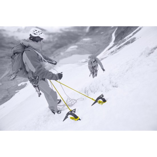 Piolet Salewa North-X Ice Axe