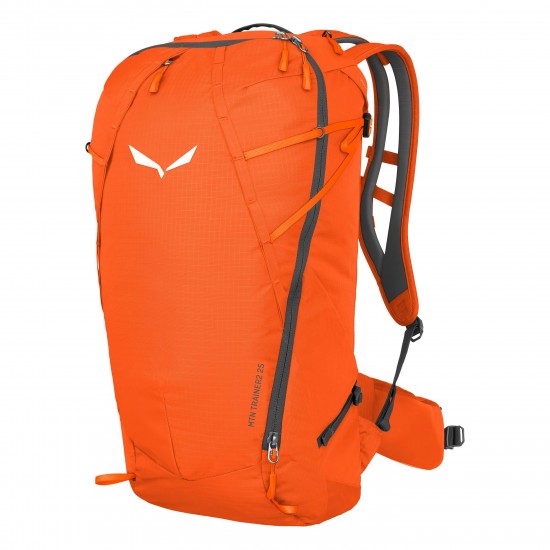 Rucsac barbati Salewa Mountain Trainer 2 25L