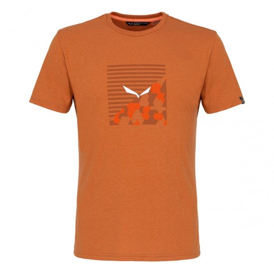 Tricou barbati Salewa Printed Box Dry